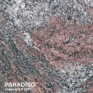 020 paradiso