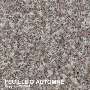 025 feuilleDAutomne